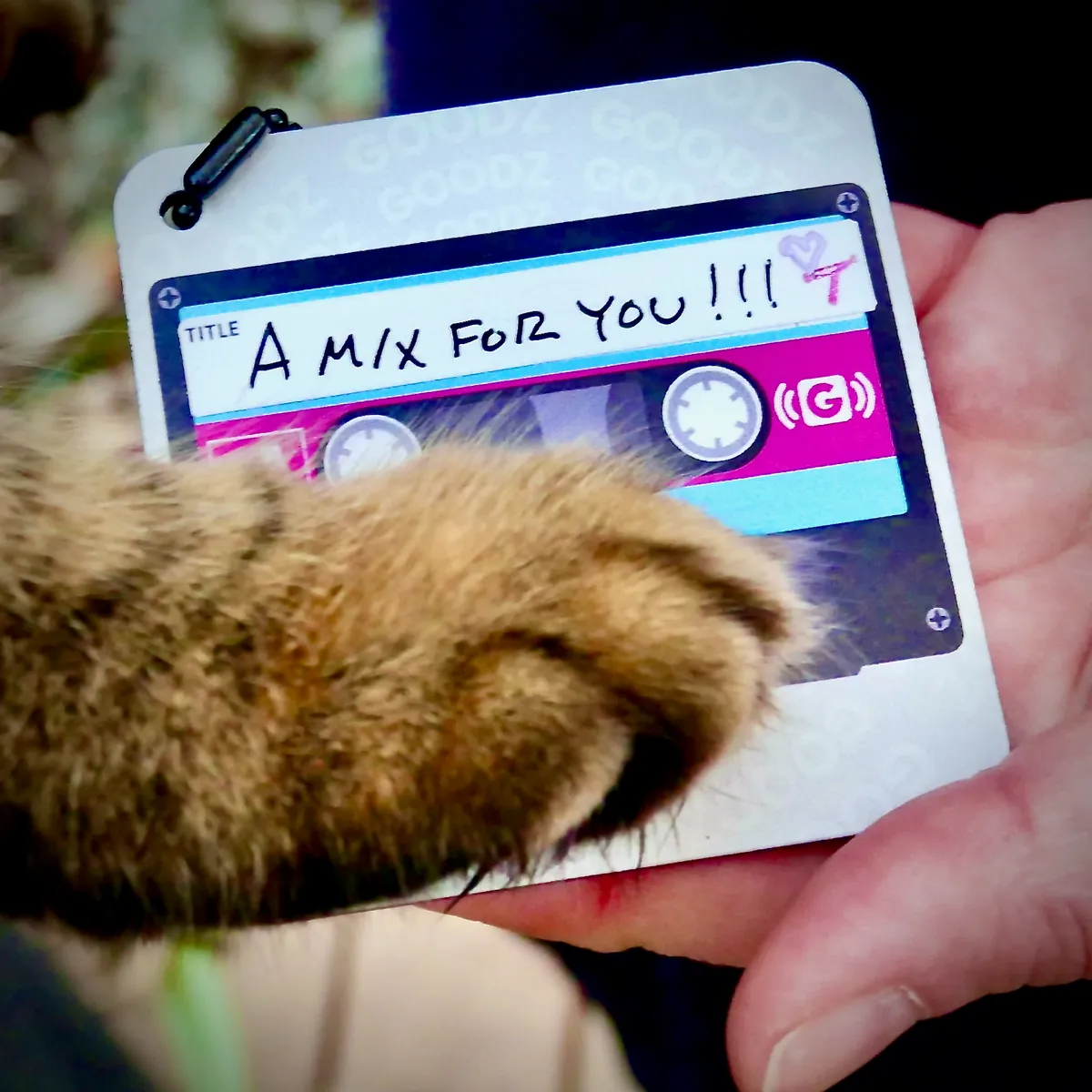 A cat's paw reaching toward a Mixtape Goodz card labeled 'A Mix for You!!!' held by a person's hand.